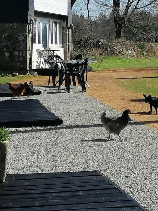 Le Petit Secret Villa Saint-Hilaire  Bagian luar foto
